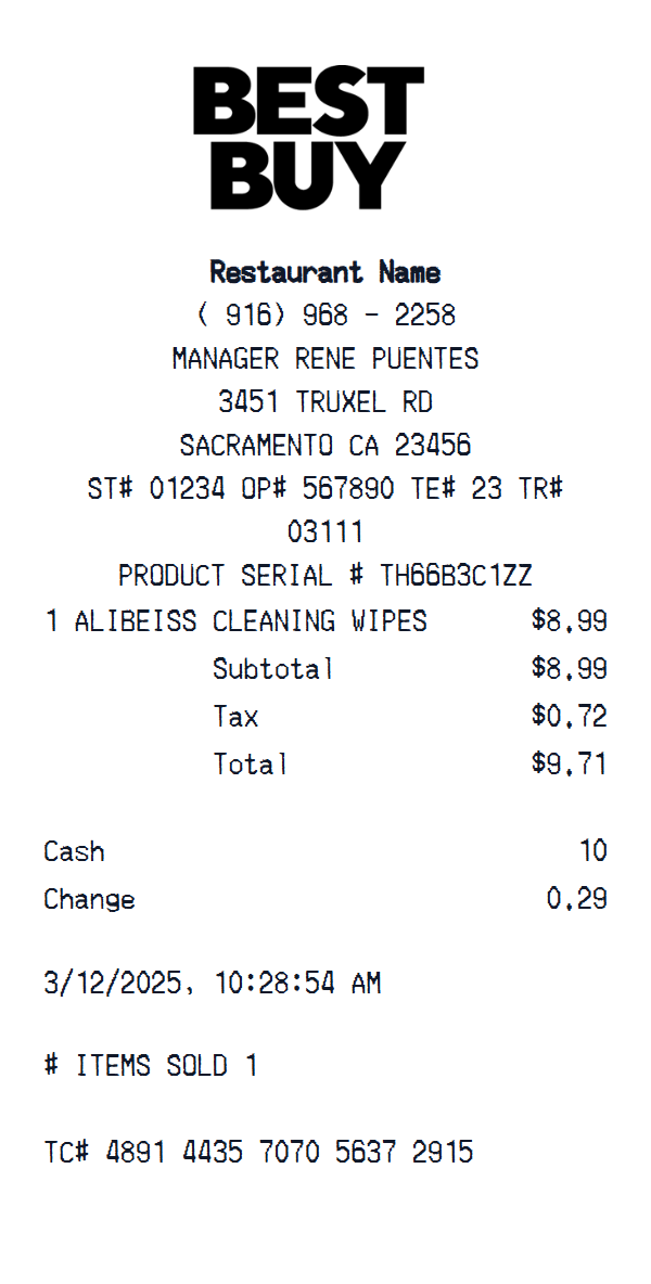 Best Buy Receipt preview